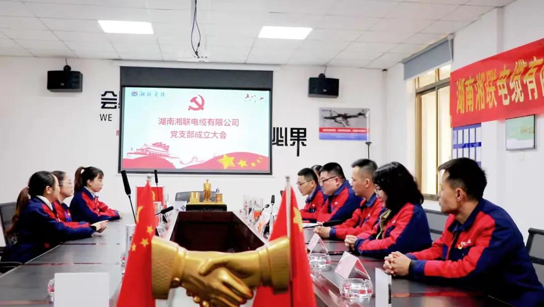新征程 | 熱烈祝賀湖南湘聯(lián)電纜有限公司黨支部正式成立！