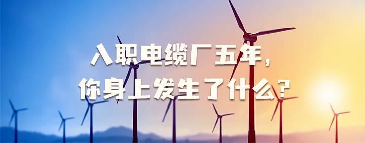 入職電纜廠五年，你身上發(fā)生了哪些變化~